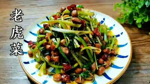 51cg今日吃瓜老虎菜在线